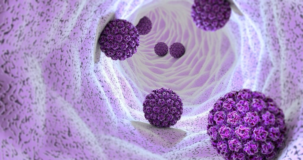 Durante quanto tempo pode o HPV estar adormecido? Riscos, factos e mitos